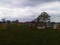 Showjumping at Rockingham Int Horse Trials